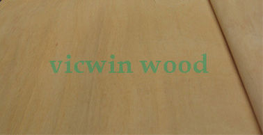China Rotary Cut/Peeled Mersawa Wood Veneer Sheet supplier