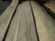 Sliced Radiata Pine Wood Veneer Sheet Crown / Quarter Cut supplier