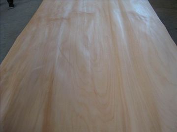 China Rotary Cut/Peeled Natural Agathis Wood Veneer Sheet supplier