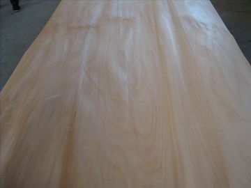 China Rotary Peeled Agathis Wood Veneer Sheet For Plywood, MDF supplier