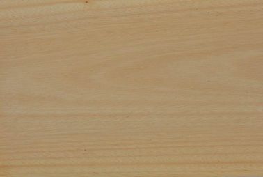 China Natural Chinese Anegre/Anigre Wood Veneer Sheet supplier