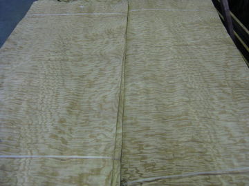 China Tamo Ash Burl Wood Veneer for Top Grade Furniture supplier