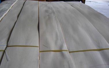 China Sliced Natural Burma White Birch Wood Veneer Sheet supplier