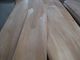 Rotary Peeled Agathis Wood Veneer Sheet For Plywood, MDF supplier
