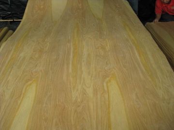 Rotary Cut/Peeled Birch Wood Veneer Sheet supplier