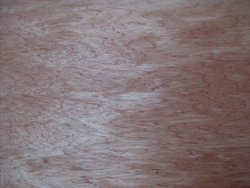 Rotary Cut/Peeled Bintangor Wood Veneer Sheet supplier