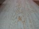 Rotary Cut/Peeled Clear Pine Wood Veneer Sheet supplier