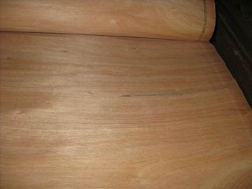 Rotary Cut/Peeled Red Canarium Wood Veneer Sheet supplier