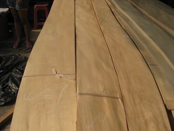 Natural Russian Birch Wood Veneer Sheet Crown Cut supplier