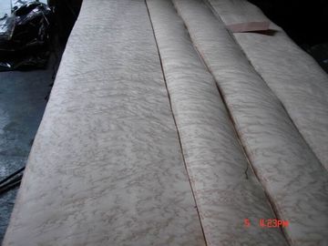 Birds Eye Maple Wood Veneer Sheet For Top Grade Furniture supplier