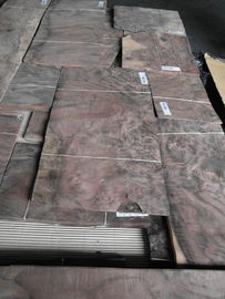 Natural Walnut Burl Wood Veneer For Interior Decoration supplier