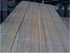 Natural African Teak Wood Veneer For Projects supplier