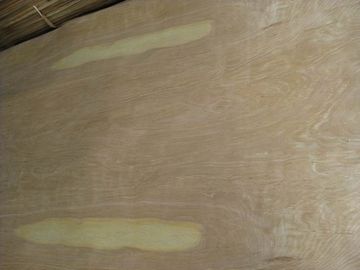 Rotary Cut Birch Veneer Sheet, Face/Back Grade supplier