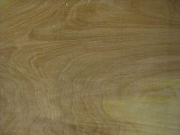 Rotary Cut Birch Veneer Sheet, Face/Back Grade supplier