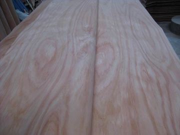 Rotary Peeled Red Cedar Wood Veneer Sheet For Plywood, MDF supplier