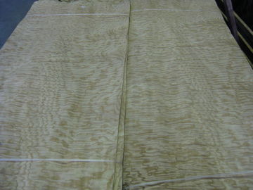 Tamo Ash Burl Wood Veneer for Interior Decoration supplier