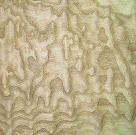 Tamo Ash Burl Wood Veneer for Interior Decoration supplier