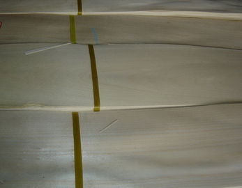 Chinese Birch Wood Veneer Sheet supplier