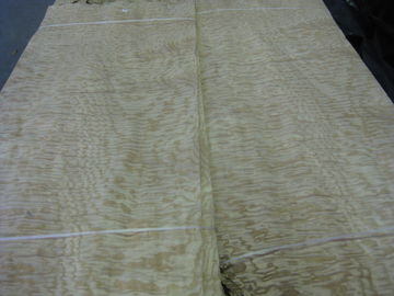 Sliced Natural Tamo Ash Burl Wood Veneer Sheet supplier