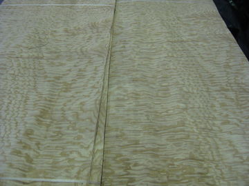 Sliced Natural Tamo Ash Burl Wood Veneer Sheet supplier