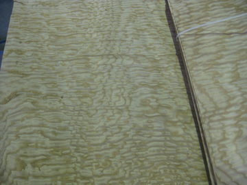 Sliced Natural Tamo Ash Burl Wood Veneer Sheet supplier