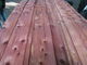 Sliced Natural Aromatic Red Cedar Wood Veneer Sheet supplier
